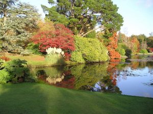 Sheffield central park